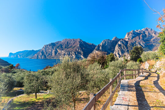 Panorama lago di Garda