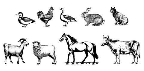 A set of farm animals. Hand-drawn large farm animals. Cow, sheep and chicken are pets on the farm. Vector illustration in the style of hand engraving.