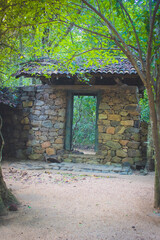 Naklejka premium old door