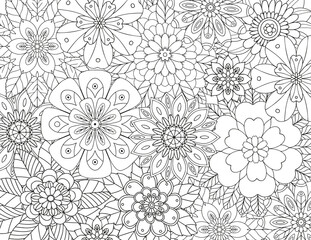 Coloring pages for children and adults.Blooming garden illustration hand drawing.   