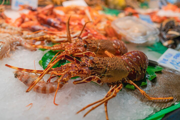Fresh lobsters on ice. Street food in Spain spiny lobsters close-up. Seafood in cold display on the street fish market. Selective focus. High quality photo