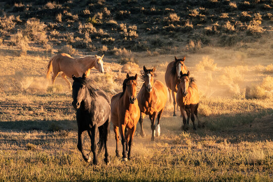 Salt Flats, Utah and Arizona state limit