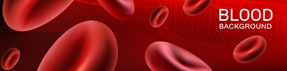 Blood with red erythrocytes flows through the veins and vessels of a person. Donor Day, anemia awareness. Horizontal site header. Red background. Vector.