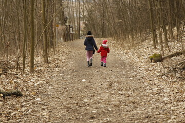 Fototapeta premium children walking in the woods
