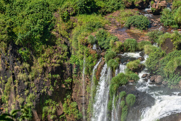 Fototapeta na wymiar Iguazu Falls: The Natural Wonder of South America