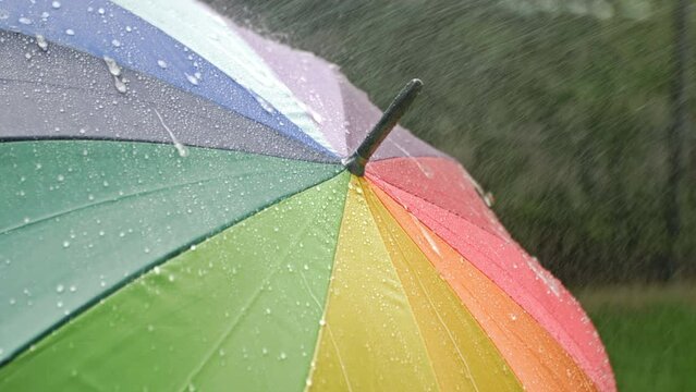 Rotating motley umbrella in the rain.