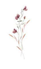 Beautiful floral stock illustration with hand drawn watercolor wild field flowers. Clip art.