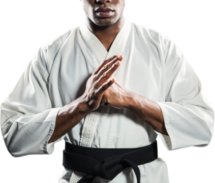 Fighter performing hand salute