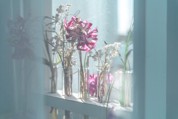 delicate composition of dried withered flowers on the windowsill near the window