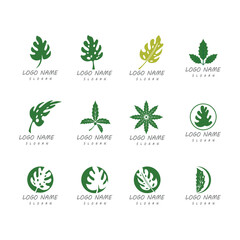 Fototapeta premium Monstera leaf logo vector design