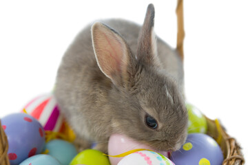 Fototapeta premium Bunny over colorful Easter eggs