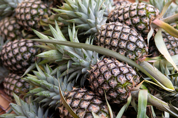 pineapples at the fruit market stall