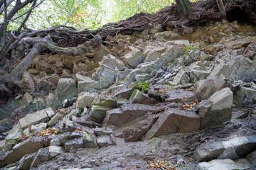 Fototapeta na wymiar Natural stones near bank of river, Carpathian Mountains, Ukraine