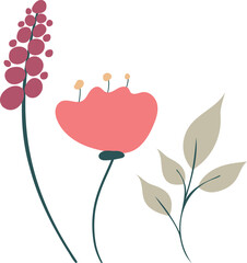 Vector of the three flowers