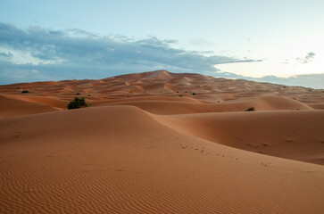 Fototapeta na wymiar Dunes in the Sahara desert, Merzouga desert, grains of sand forming small waves on the dunes, panoramic view. Setting sun. Morocco.
