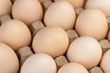 Tray with a large number of white chicken eggs