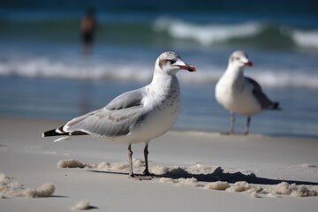 Seagulls Scavenging For Food On The Beach. Generative AI