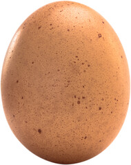 Close-up of egg 