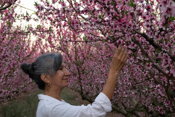 mujer paseando entre campos de melocotoneros en flor