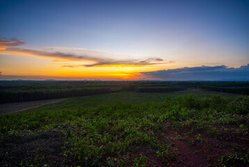 Rubber plantation farming area in the south of Thailand