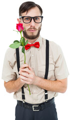 Fototapeta premium Geeky hipster offering a rose