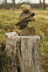 Fototapeta na wymiar stump with pile of rocks in the meadow