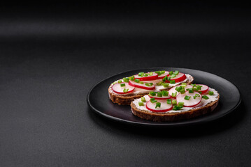 Delicious sandwich or bruschetta with cream cheese radish and green onions