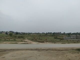 wildebeest in serengeti city