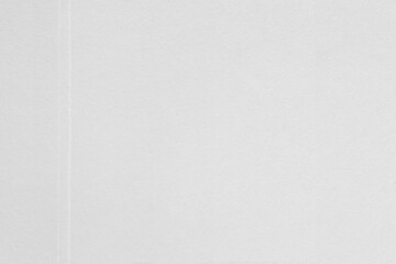 Fototapeta premium paper texture with stapmed margin