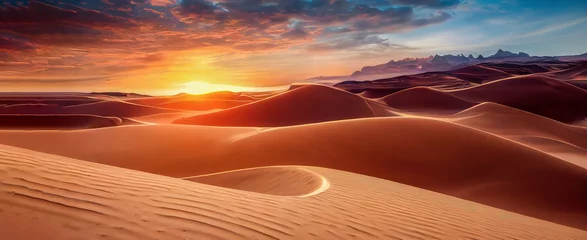 Schilderijen op glas Panorama  banner of Captivating Sahara Desert panorama at sunset, showcasing undulating sand dunes bathed in golden hues, perfect for travel, nature, and adventure theme       © Hassan