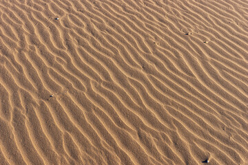 Wavy sandy background. Beach sand texture