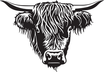 Highland cow, shaggy cow vector Illustration, SVG - obrazy, fototapety, plakaty