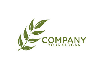 Olive oil logo with modern emblem line art style with combined leaf, water, olive branch and leaf drupe Premium Vector