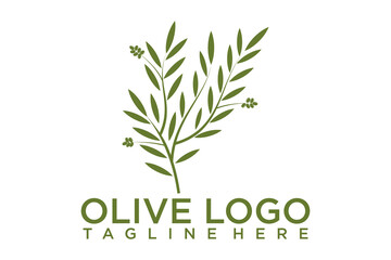 Olive oil logo with modern emblem line art style with combined leaf, water, olive branch and leaf drupe Premium Vector