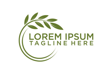 Obraz premium Tree vector icon. Nature trees olive vector illustration logo design