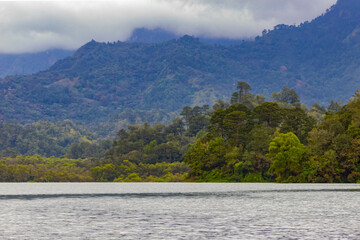 campo, natural, lago.