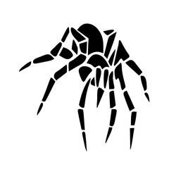spider on a white background