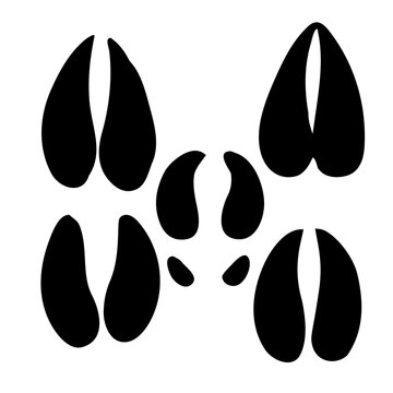Vector flat black icon of sheep, cow, deer, goat foot print steps silhouette