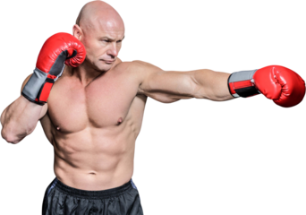Bald boxer in fighting stance