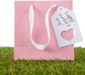 Pink bag with happy mothers day tag