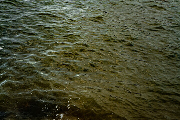Mar oceano agua tranquila tranquilidade paz verde aguas tranquilas mar marítimo viagem paisagem