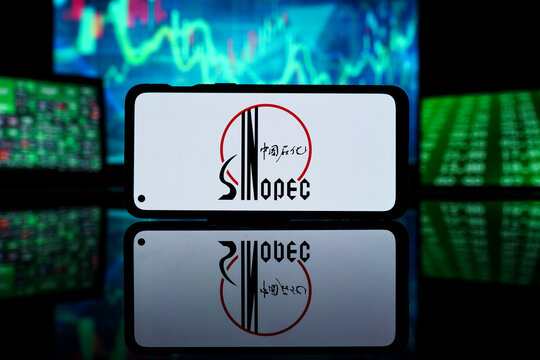 SINOPEC company on stock market. SINOPEC financial success and profit