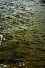 Mar oceano agua tranquila tranquilidade paz verde aguas tranquilas mar marítimo viagem paisagem