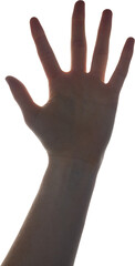 Close up of hand showing stop sign