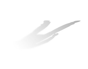 Shadow of person standing on white background