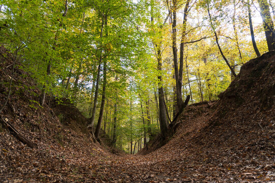 Sunken Trace on the Natchez Trace parkway. Trail was created and used by Native Americans for centuries, and was later used by early European and American explorers, traders, and emigrants.