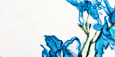 Wild blue fowers closeup, watercolor on white background.