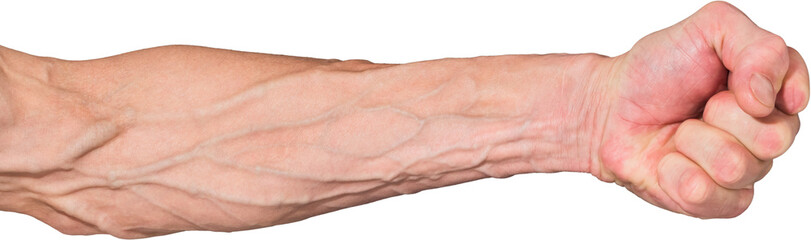 A man's hand with large veins on a white background