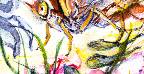 Butterfly and flowers closeup, watercolor on white background.