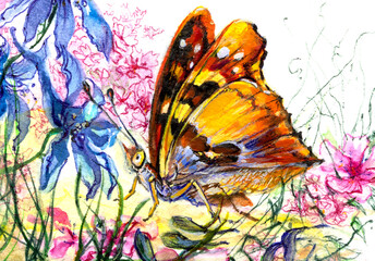 Butterflies and a flower closeup, watercolor on white background.